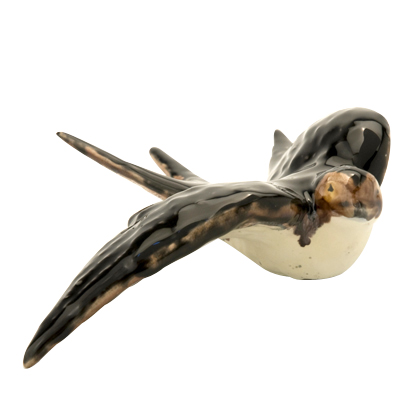 andorinha portuguese swallow