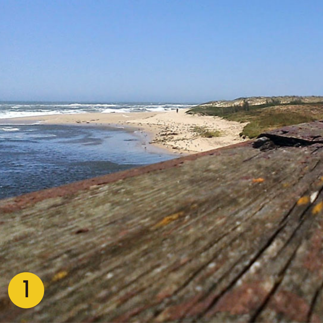 Best Beaches in the Porto Region: Angeiras Beach