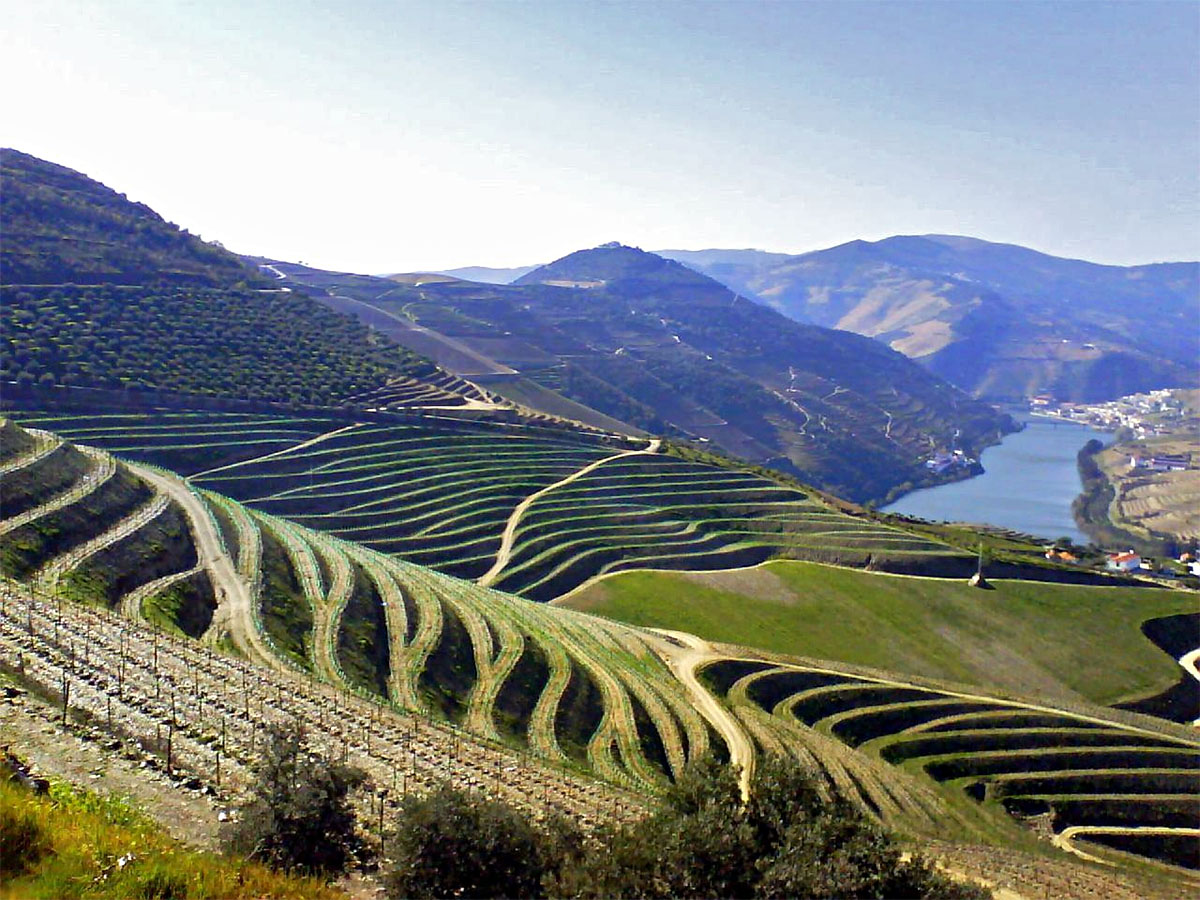 best douro valley day trip from porto