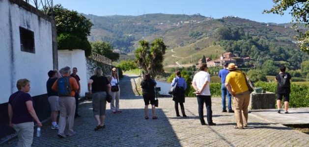 wine harvest experience in Douro