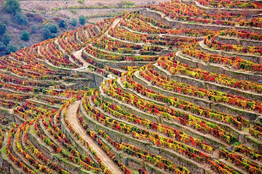 Douro Valley