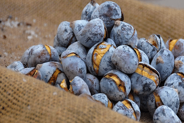 Foodie tips to celebrate Christmas in Porto