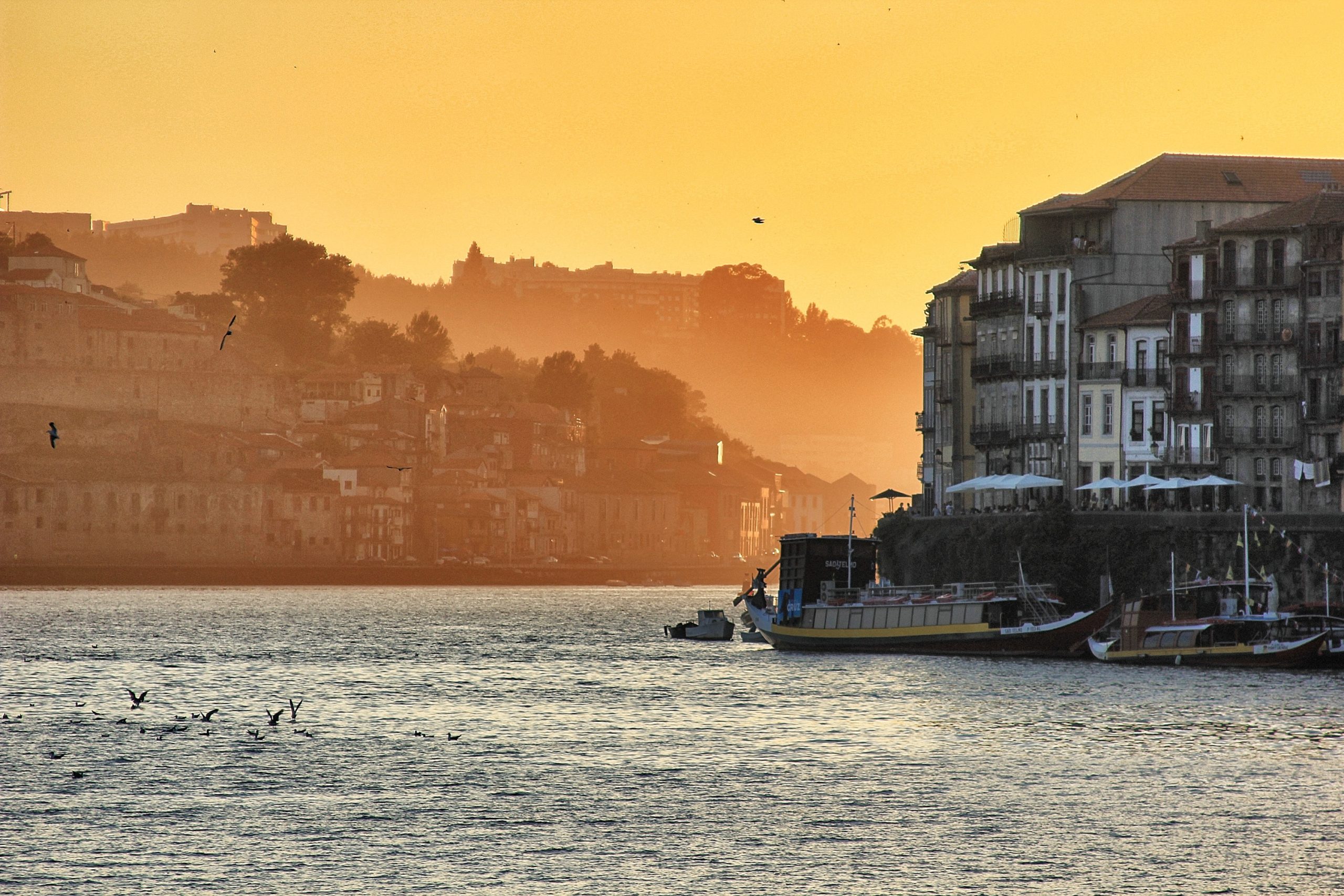 What to do in Porto