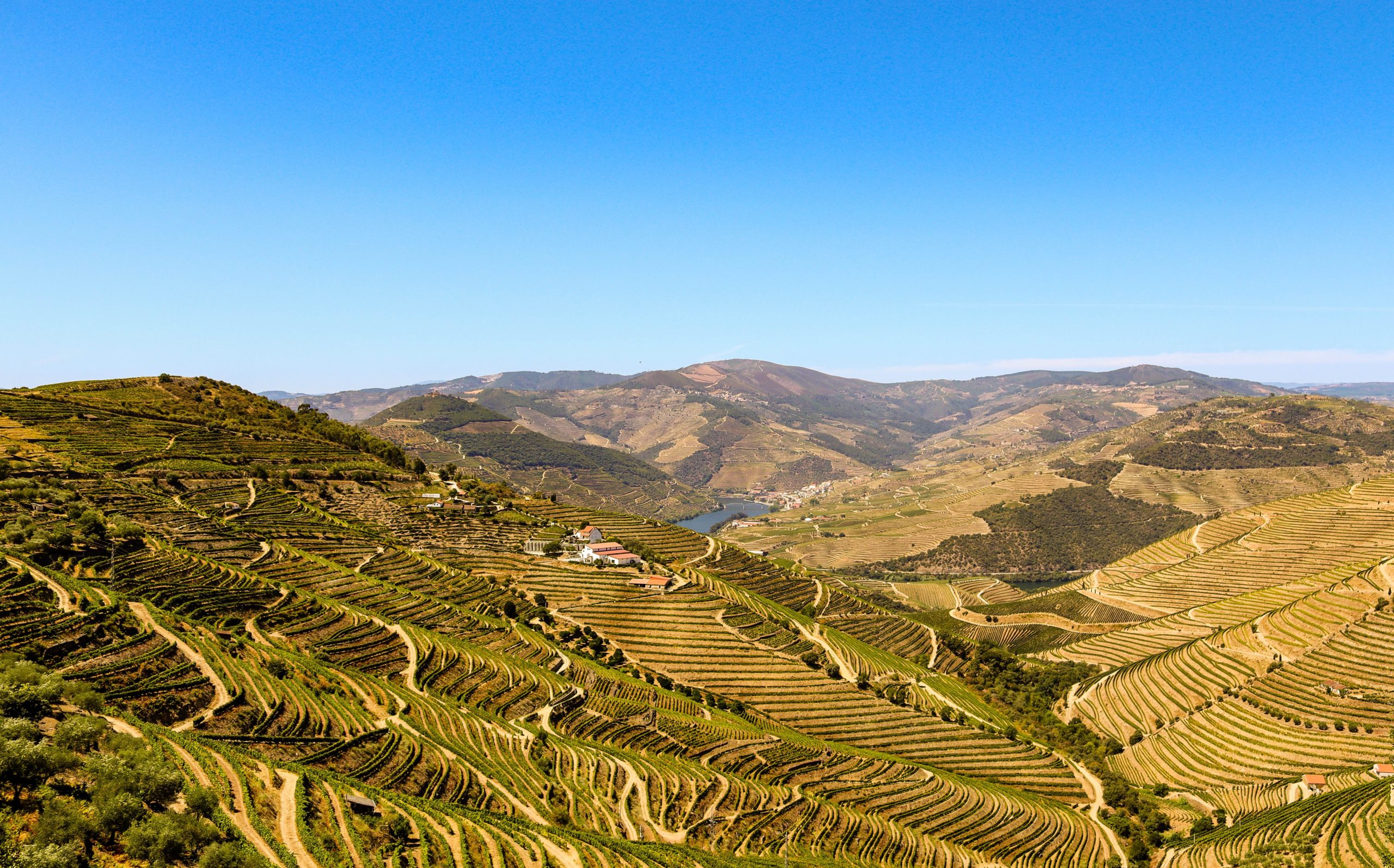 port wine caves tour