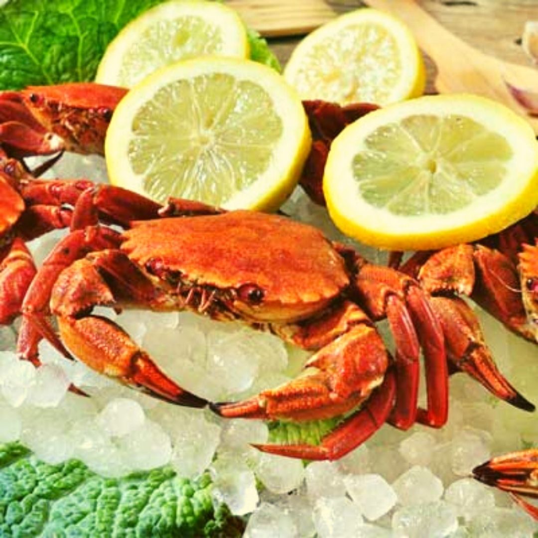 Guide to Portuguese Seafood